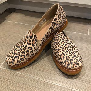Toms Leopard Slip On Shoes, Size 10
